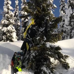 Meet your Posher, Trevor